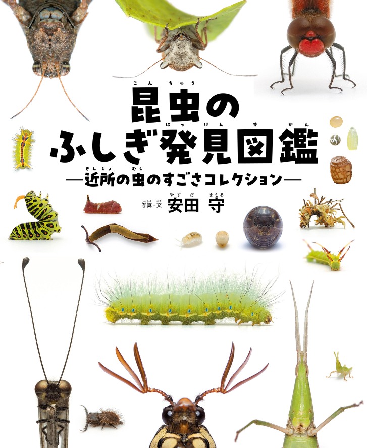 『昆虫のふしぎ発見図鑑』が発売の画像