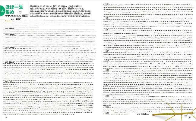 『昆虫のふしぎ発見図鑑』が発売の画像