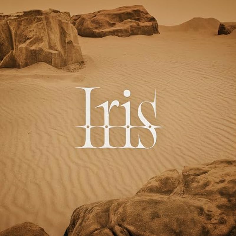 BUDDiiS「Iris」バイラルヒット