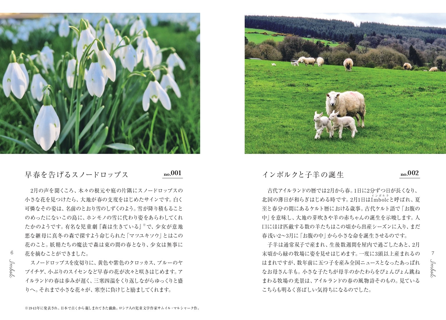 2025年注目の国「アイルランド」を描くエッセイの画像