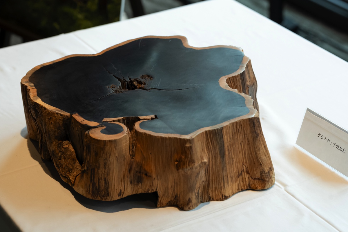 ヤマハの新型電子ピアノ『T01』とはの画像