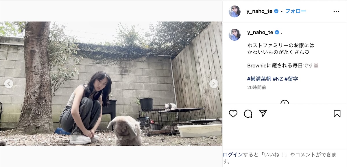 横溝菜帆、留学先でうさぎとほのぼのショット