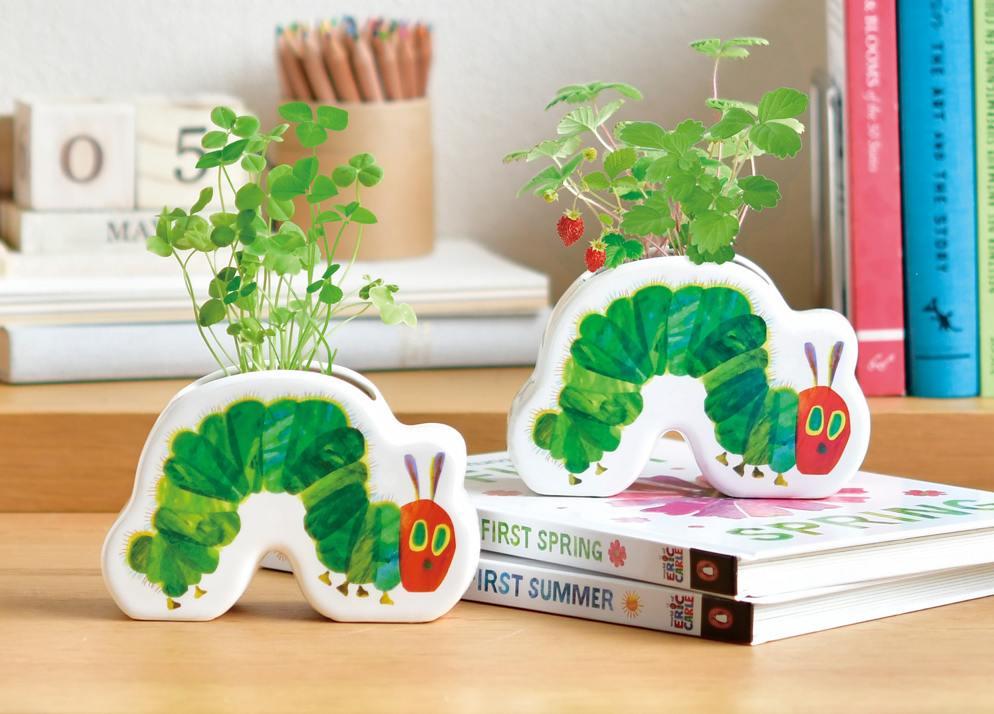 「はらぺこあおむし」の栽培キットが発売の画像