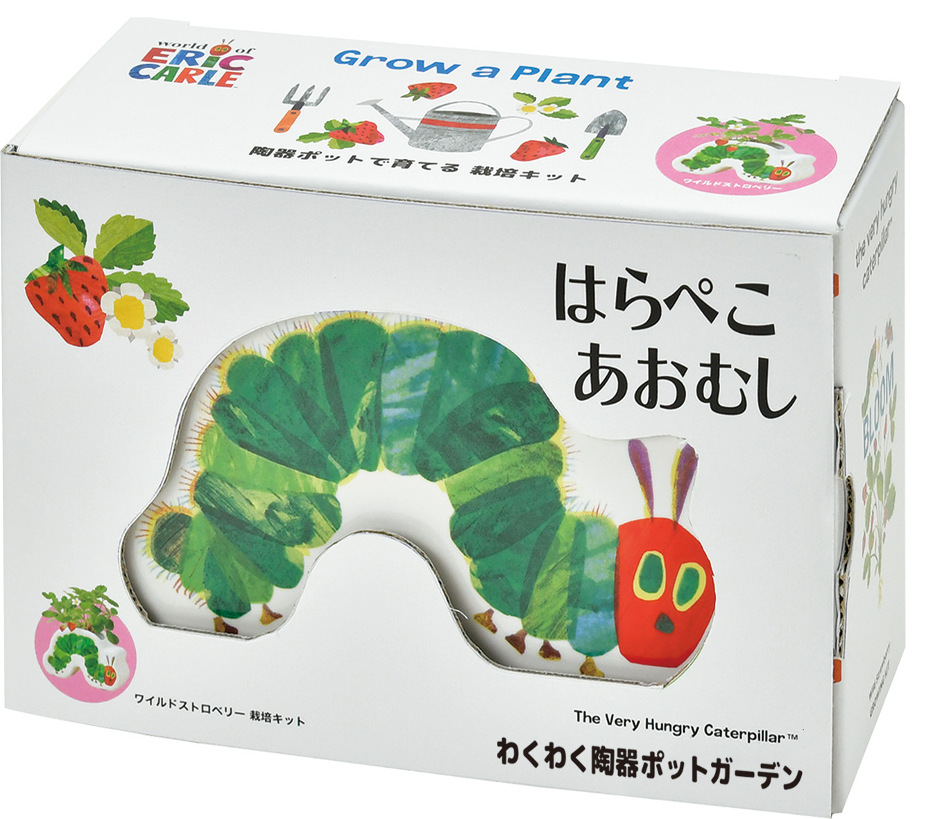 「はらぺこあおむし」の栽培キットが発売の画像