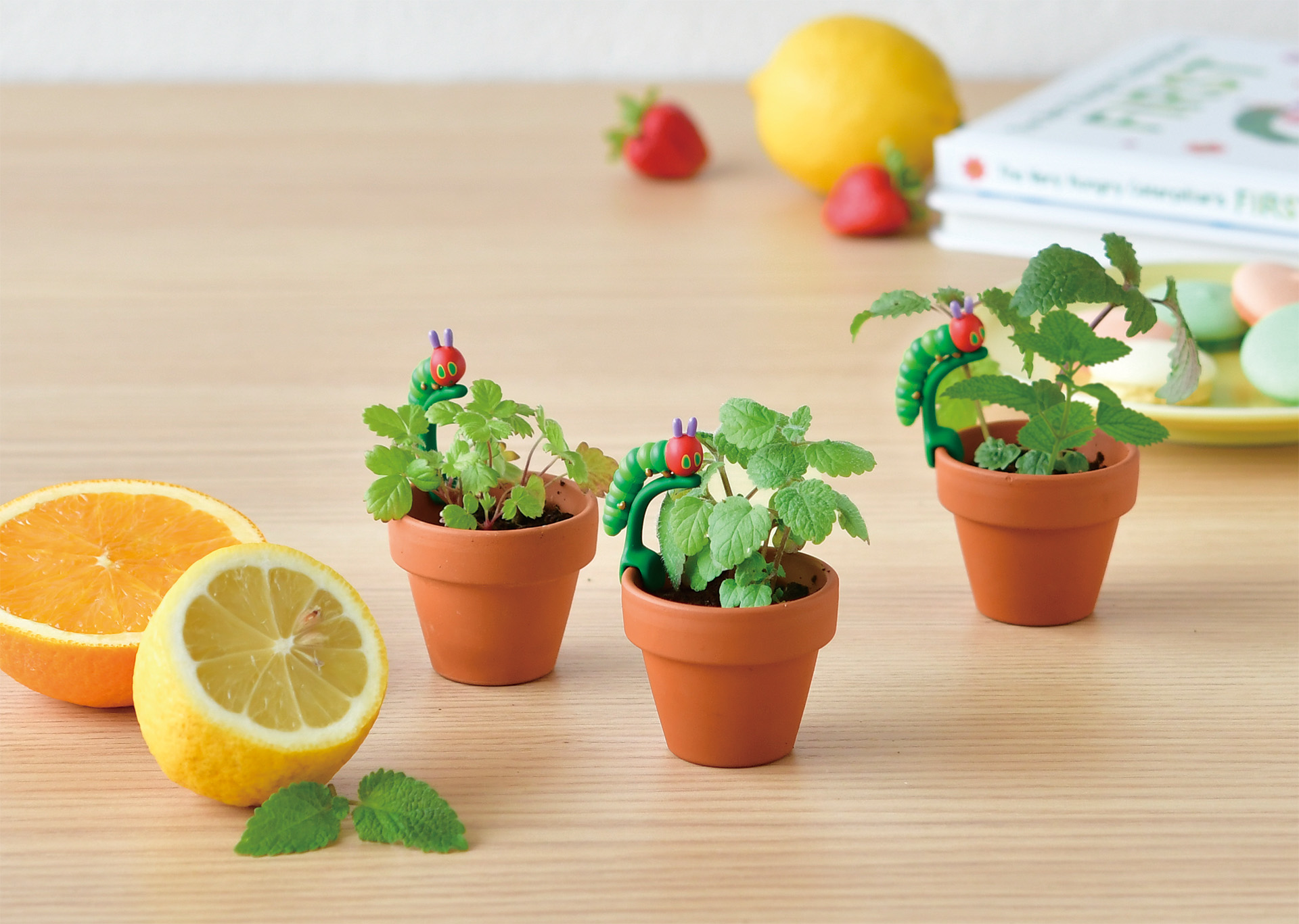 「はらぺこあおむし」の栽培キットが発売の画像