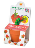 「はらぺこあおむし」の栽培キットが発売の画像