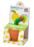 「はらぺこあおむし」の栽培キットが発売の画像