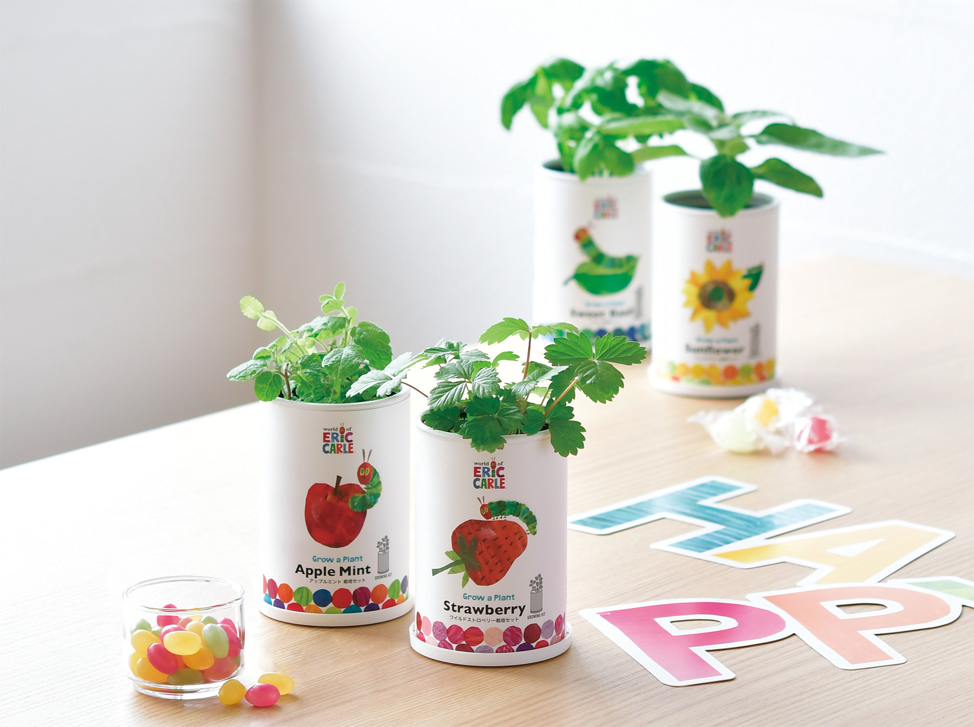 「はらぺこあおむし」の栽培キットが発売の画像