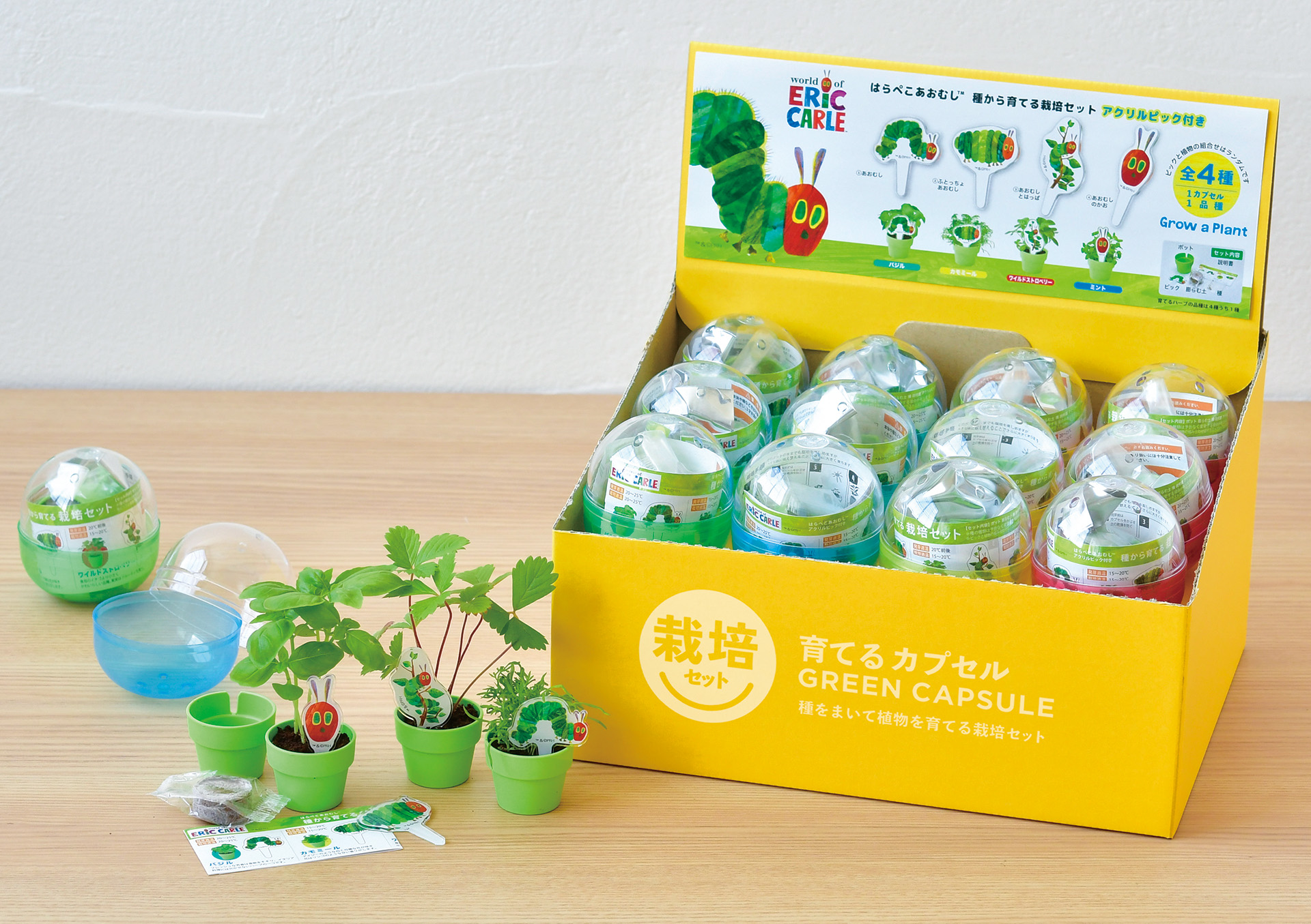 「はらぺこあおむし」の栽培キットが発売の画像