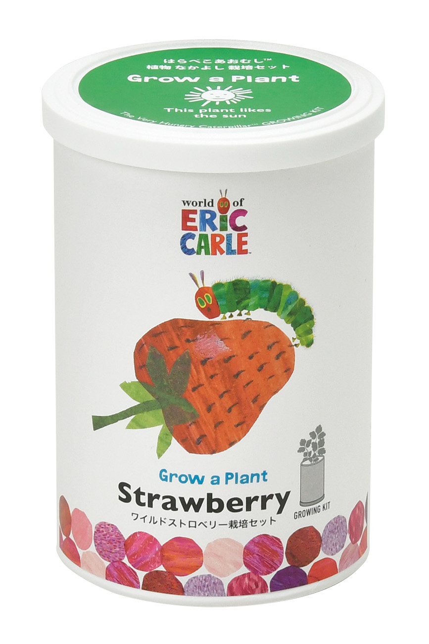 「はらぺこあおむし」の栽培キットが発売の画像
