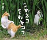 猫写真集『これネコ　それネコ？』が発売　の画像
