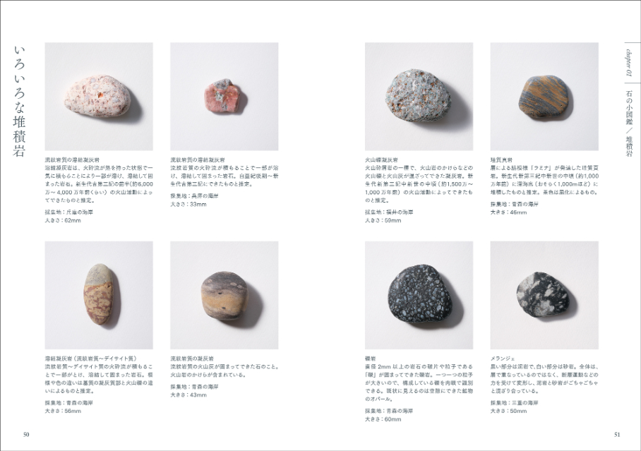 『海辺の石ー小図鑑・見立て・石並べー』の画像