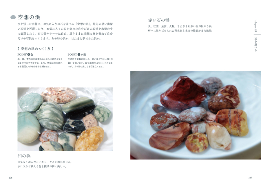 『海辺の石ー小図鑑・見立て・石並べー』の画像