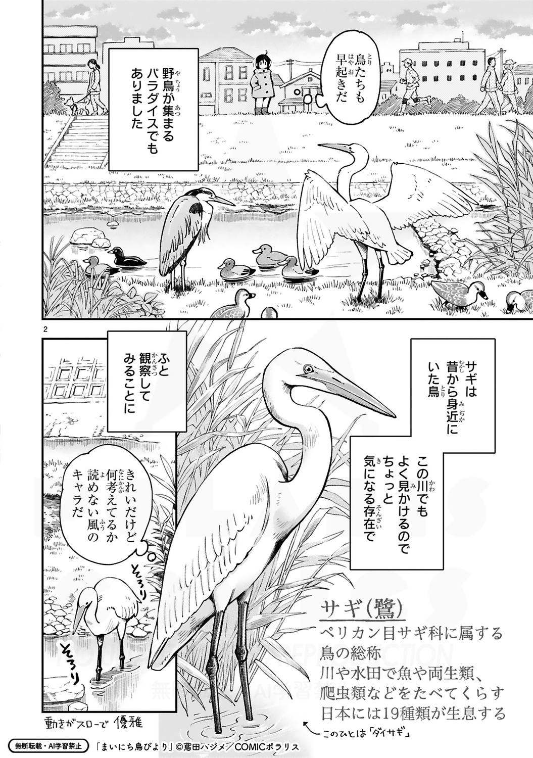 【漫画】サギは意外と恐竜っぽい……！？の画像