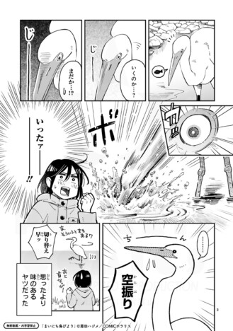 【漫画】恐竜っぽい身近な鳥って……！？　ほっこり野鳥観察エッセイ漫画『まいにち鳥びより』