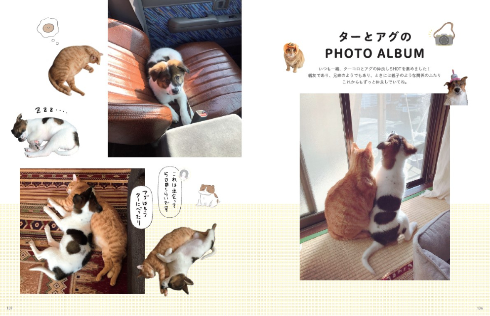 仲良し犬猫漫画「ターとアグのしあわせ日和」の画像