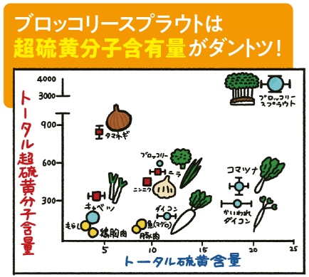 ブロッコリースプラウトの魅力を解説本が話題