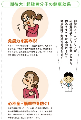 ブロッコリースプラウトの魅力を解説本が話題の画像