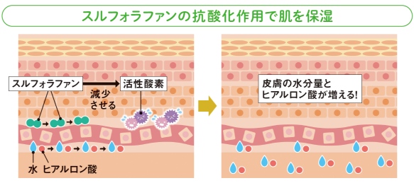 ブロッコリースプラウトの魅力を解説本が話題の画像
