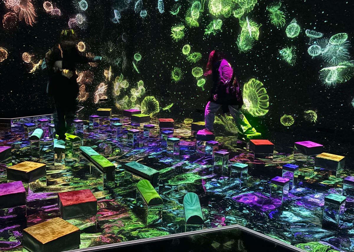 『チームラボプラネッツ』新エリア体験レポート 