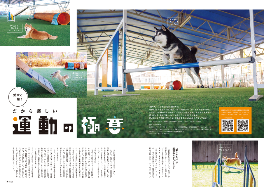 愛犬のQOLを上げる鍵とは『Shi-Ba【シーバ】』の画像