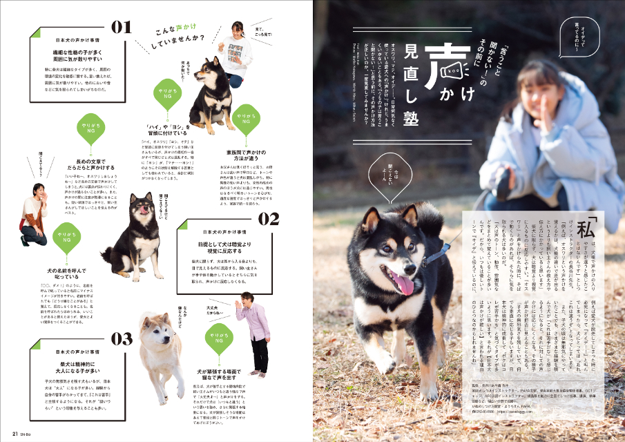 愛犬のQOLを上げる鍵とは『Shi-Ba【シーバ】』の画像