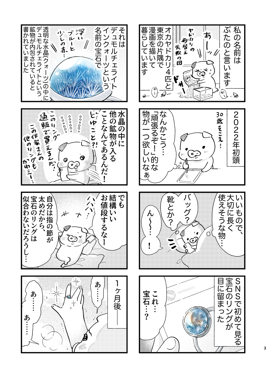 【漫画】宝石の世界に魅せられるエッセイの画像