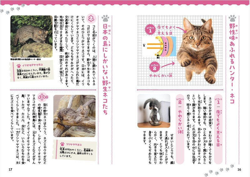 語彙学習の入門書『いきものだらけのことば図鑑』の画像