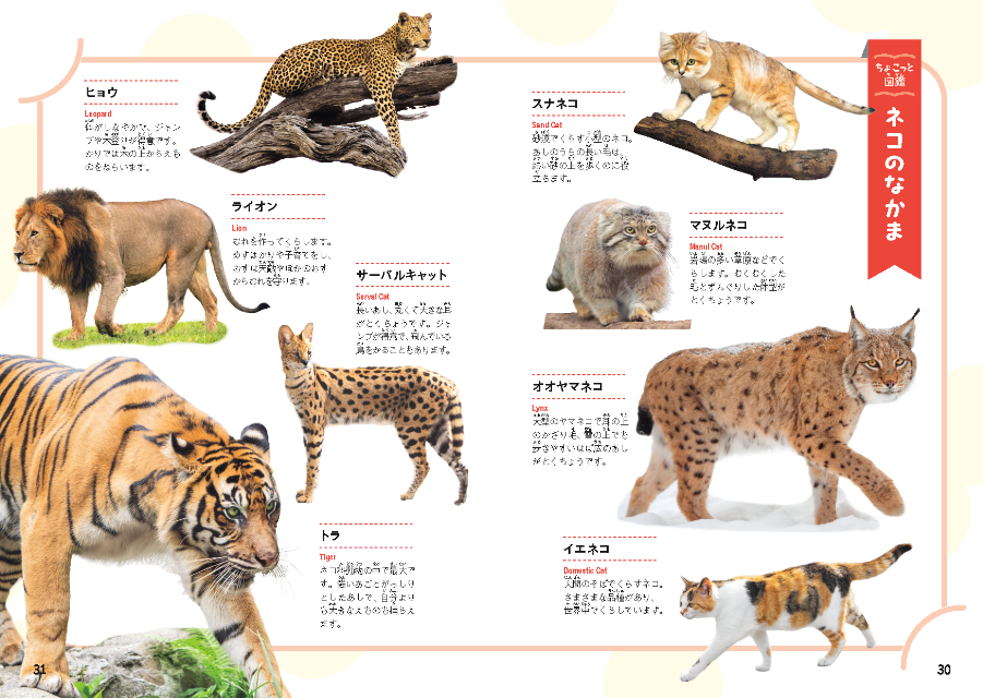 語彙学習の入門書『いきものだらけのことば図鑑』の画像