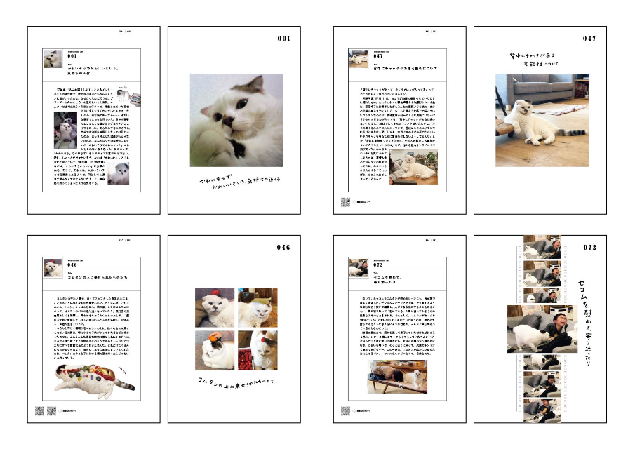 『コムタンっていうネコの本』の画像