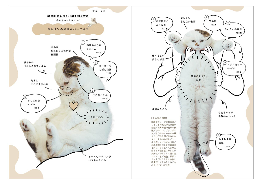 『コムタンっていうネコの本』の画像