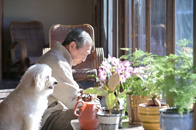 『クジャクのダンス』第7話先行カットの画像