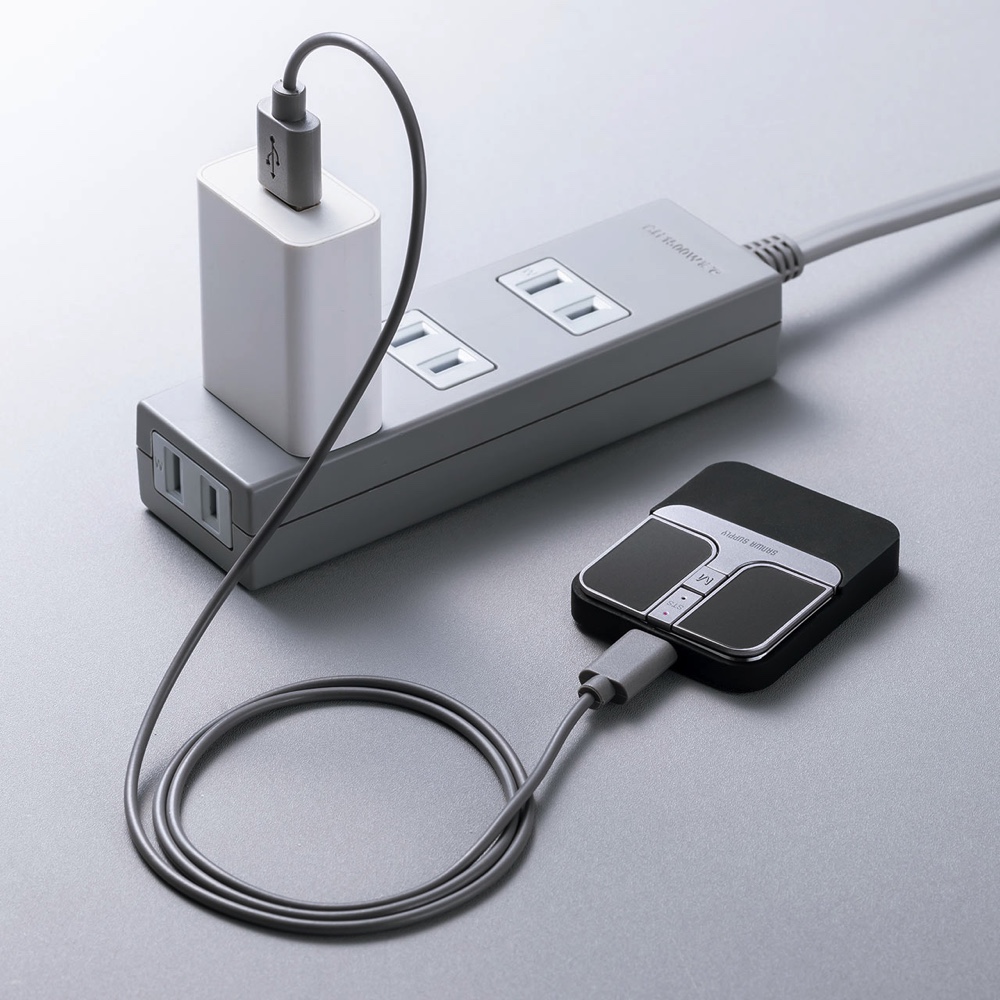 長さ3.6cm、厚さ0.9cmの“超ミニマウス”の画像