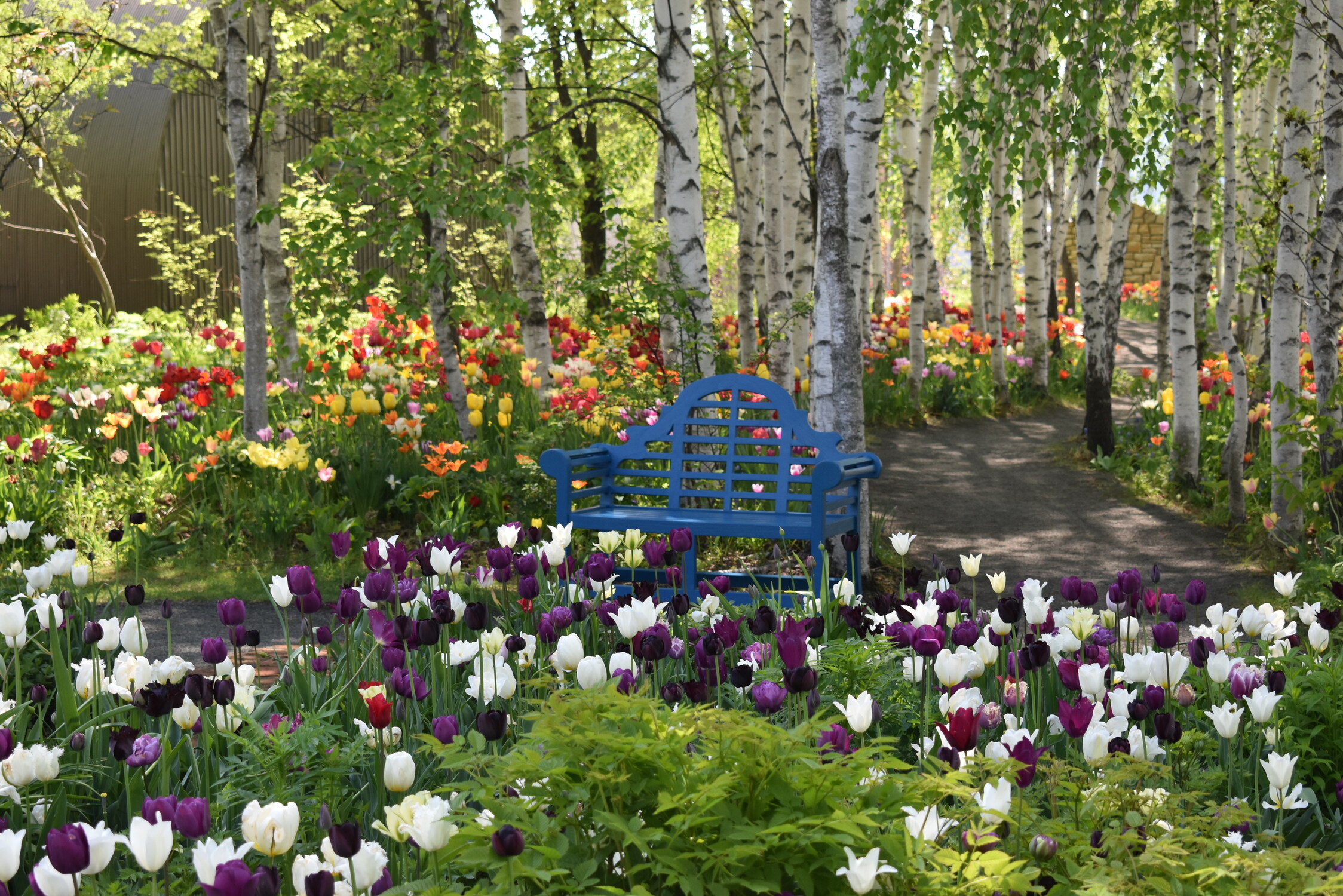花の楽しみ方満載のムックに注目の画像