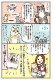 『猫のホントの気持ちを学ぶ動物行動学』の画像