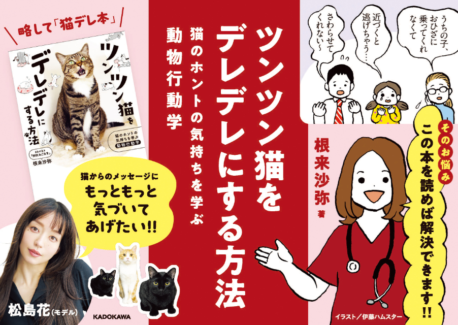 『猫のホントの気持ちを学ぶ動物行動学』の画像
