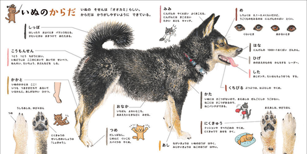 コドモエのずかんシリーズ最新刊『いぬのずかん』の画像