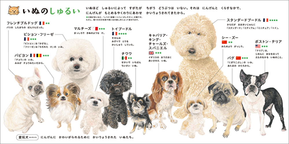 コドモエのずかんシリーズ最新刊『いぬのずかん』の画像