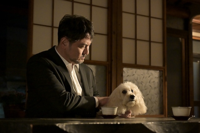 『クジャクのダンス』心麦＝林川歌が確定の画像