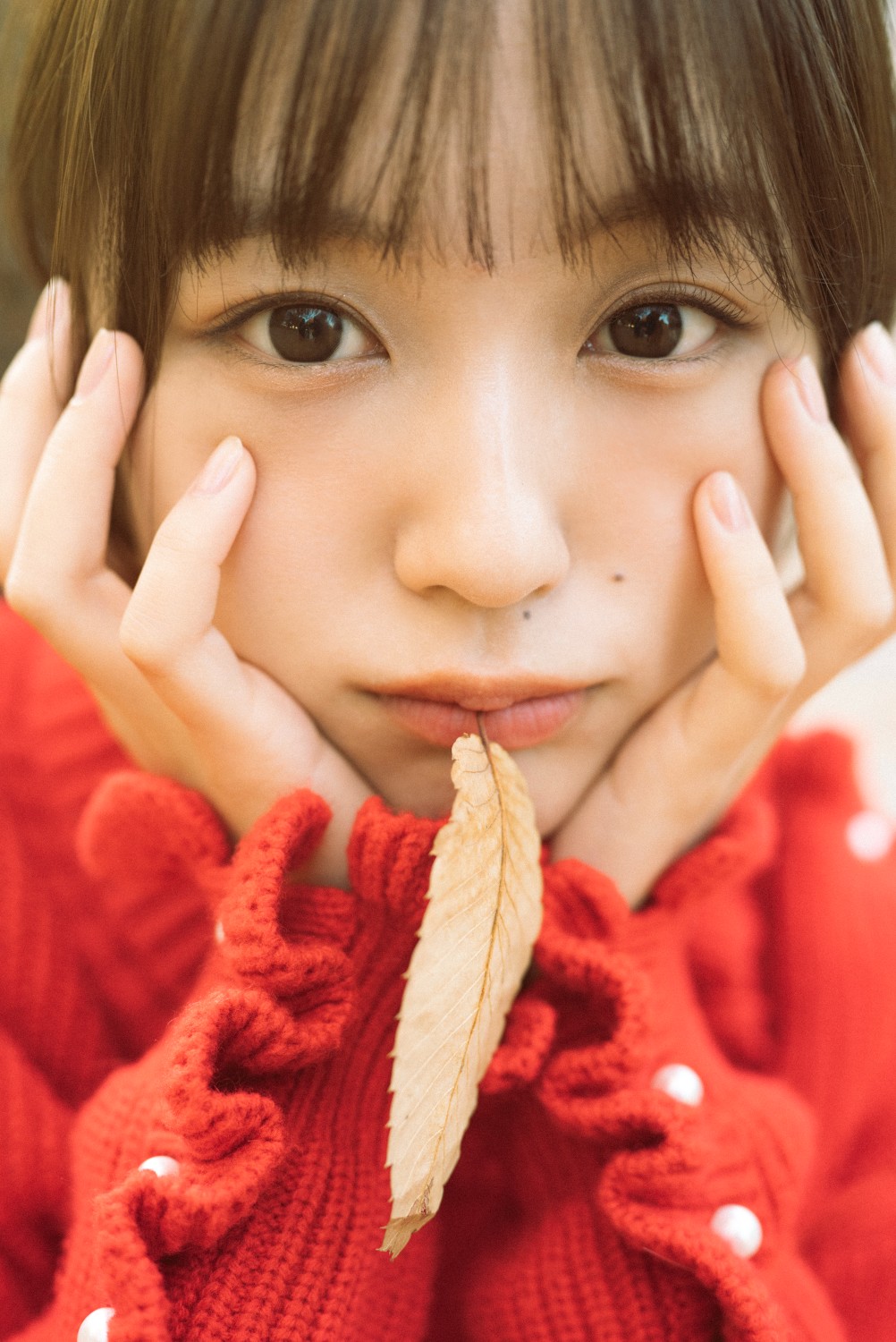 写真展「東京路地裏散歩 meets seju」開催の画像