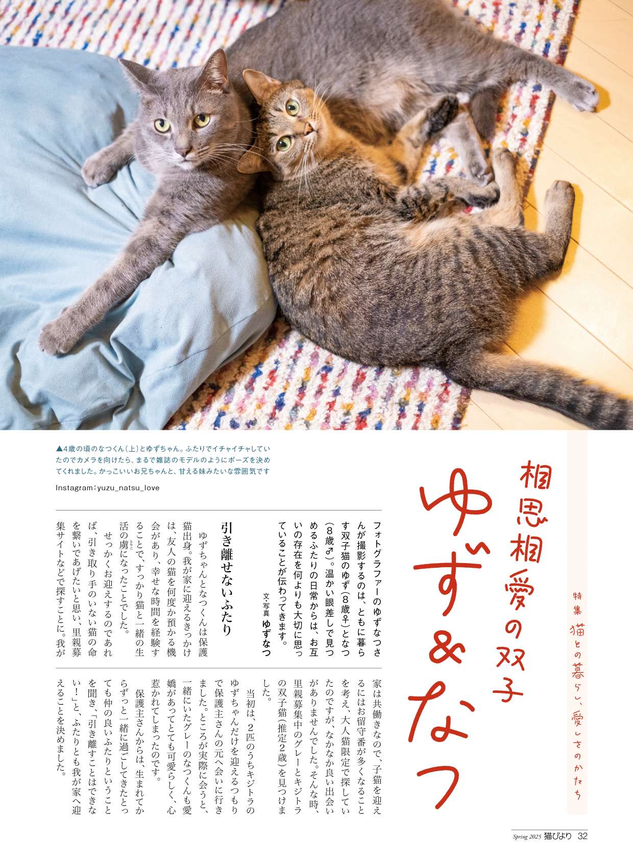 上田麗奈＆川島零士が登場『猫びより』の画像