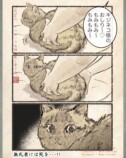 【漫画】人間の行動にネコはドン引き？の画像