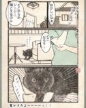 【漫画】人間の行動にネコはドン引き？の画像