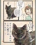 【漫画】人間の行動にネコはドン引き？の画像