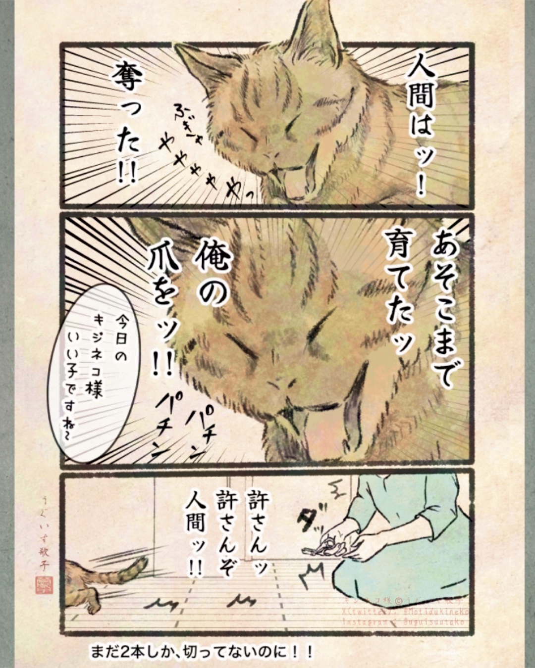 【漫画】人間の行動にネコはドン引き？の画像