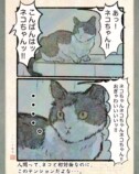 【漫画】人間の行動にネコはドン引き？の画像