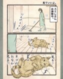 【漫画】人間の行動にネコはドン引き？の画像