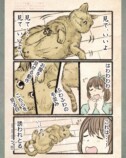 【漫画】人間の行動にネコはドン引き？の画像