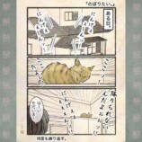 【漫画】人間の行動にネコはドン引き？の画像
