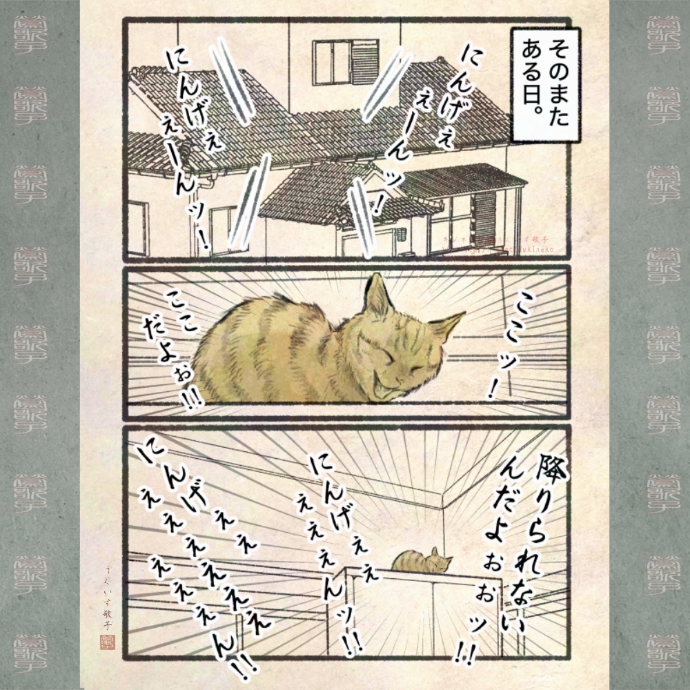 【漫画】人間の行動にネコはドン引き？の画像